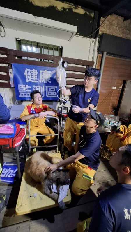 高市搜救隊救出泥濘犬隻 專業獸醫同步支援。(記者陳雯萍翻攝)