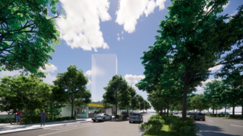 捷運黃線Y9站樹木移植引關注　民族路段專業評估兼顧交通安全與都市綠資源更新。