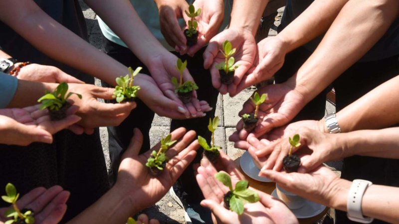 位於高雄燕巢橫山共創基地的「臺灣．橫山樹絨研發應用設計中心」於2026年3月初正式成立。(漾新聞記者陳雯萍翻攝)