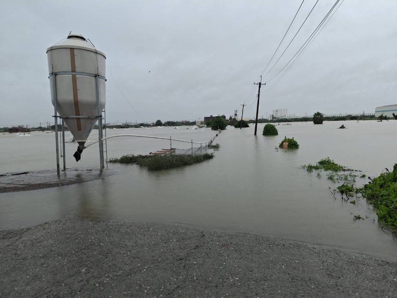 土堤在豪雨中發生破口,大水灌入周邊魚塭,部分道路最高積水一度超過2公尺。馬路、魚塭已經傻傻分不清。圖為昨天已經有部份水退的畫面。(漾新聞記者陳雯萍翻攝|養殖戶提供) 土堤在豪雨中發生破口,大水灌入周邊魚塭,部分道路最高積水一度超過2公尺。馬路、魚塭已經傻傻分不清。圖為昨天已經有部份水退的畫面。(漾新聞記者陳雯萍翻攝|養殖戶提供)