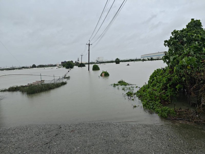 土堤在豪雨中發生破口,大水灌入周邊魚塭,部分道路最高積水一度超過2公尺。馬路、魚塭已經傻傻分不清。圖為昨天已經有部份水退的畫面。(漾新聞記者陳雯萍翻攝|養殖戶提供) 土堤在豪雨中發生破口,大水灌入周邊魚塭,部分道路最高積水一度超過2公尺。馬路、魚塭已經傻傻分不清。圖為昨天已經有部份水退的畫面。(漾新聞記者陳雯萍翻攝|養殖戶提供)