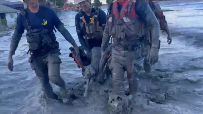 漾新聞|高市搜救隊救出泥濘犬隻 專業獸醫同步支援