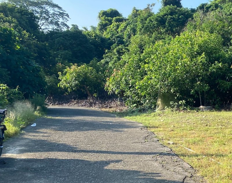 漾新聞|旗山中寮自小客車內父女一傷一亡
