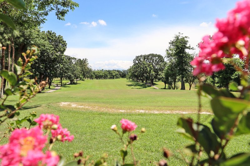 漾新聞|市府施鐵腕 這裡附近禁唱卡拉OK寵物入園 違者最高罰9千