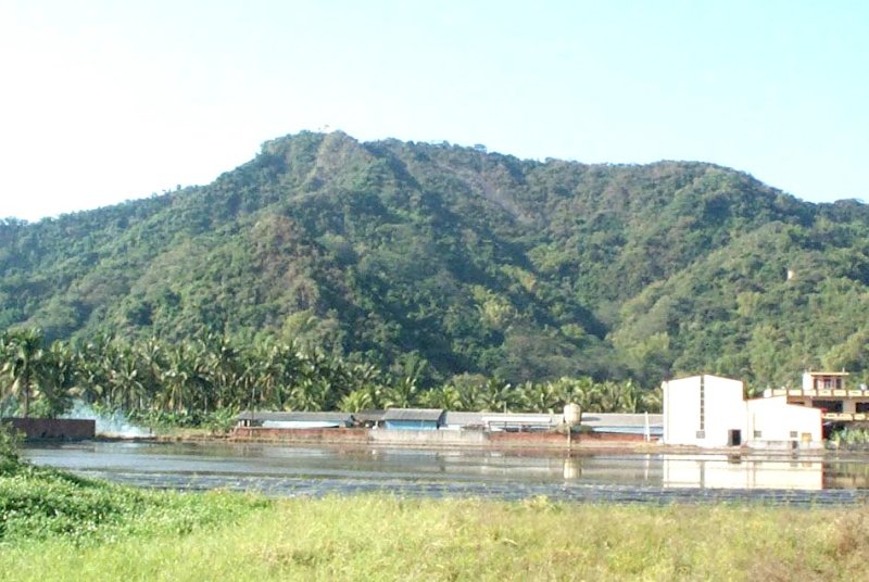 大象山下情 / 黃山高 / 2000高縣「鳳邑文學獎」散文獎／漾新聞