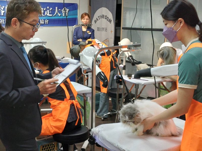 漾新聞｜AI也取代不了的職涯！角落貓學堂攜手KCT打造貓美容新藍海
