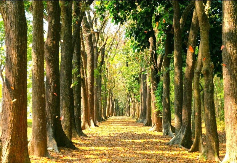 漾新聞|踏訪六龜山林風光與文化底蘊