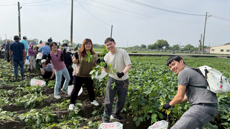 漾新聞｜「芹豆初開」走進新園　農田化身學習場域孕育綠色新商機