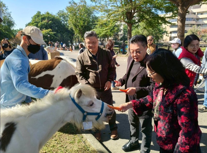 漾新聞｜黑天鵝迷你馬進駐校園　輔英科大共築永續生態新風景