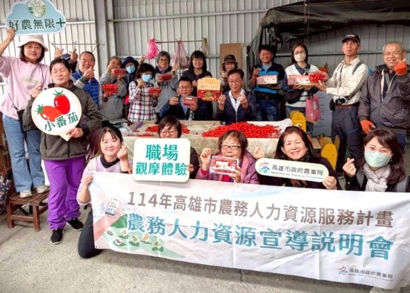 漾新聞|美濃小番茄職場銀髮族觀摩體驗