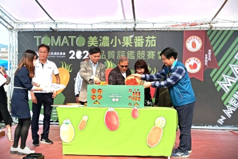 漾新聞|美濃小果番茄品質評鑑競賽決賽
