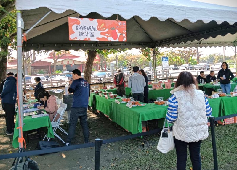 漾新聞|第十四屆美濃小果番茄品質評鑑