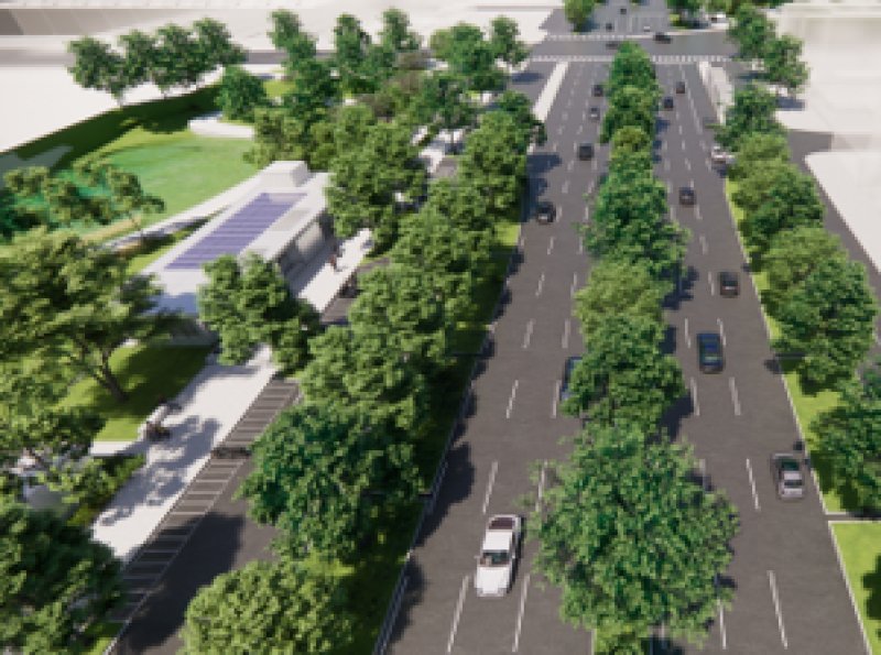 漾新聞｜捷運黃線Y9站樹木移植引關注　民族路段專業評估兼顧交通安全與都市綠資源更新