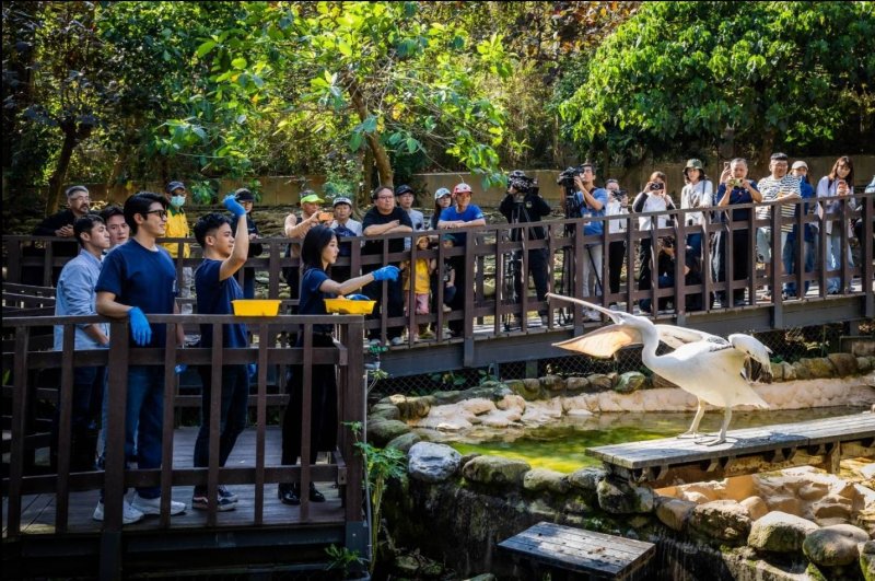 漾新聞｜影集《動物園》重返壽山動物園宣布全球首播粉絲熱情沸騰