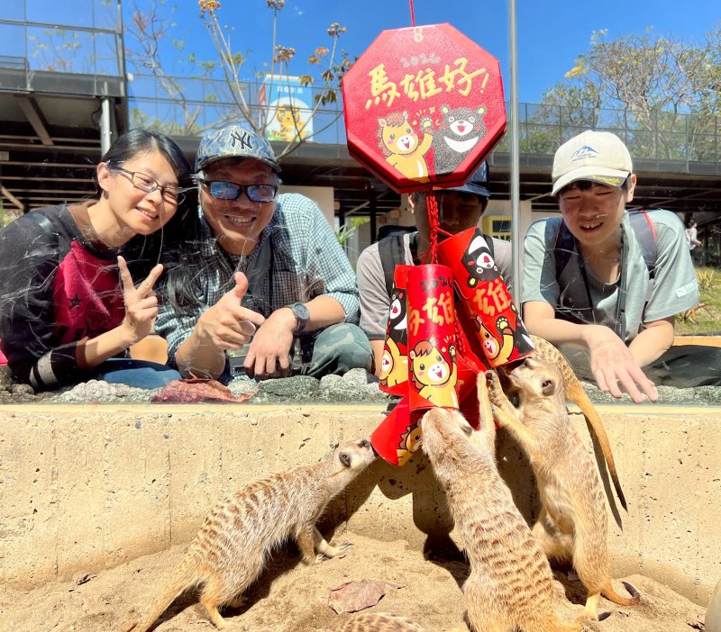 漾新聞｜壽山動物園壽Q家族升級登場　萌經濟掀走春熱潮