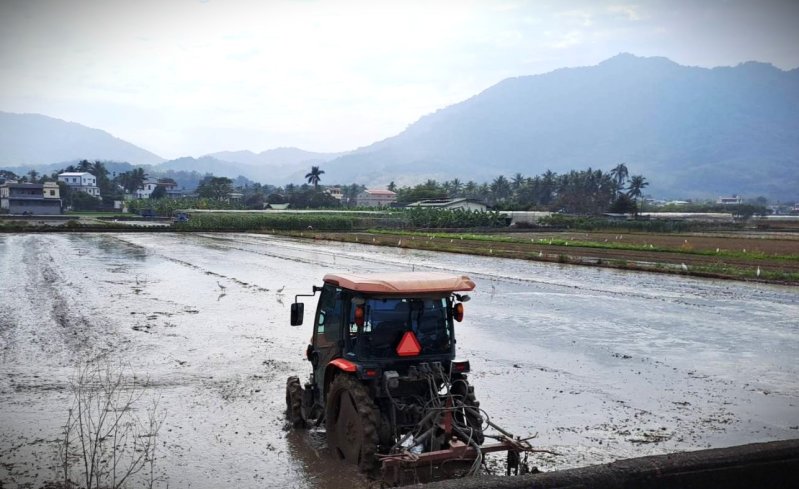 漾新聞|杉林農民抗爭供水並籲速插秧