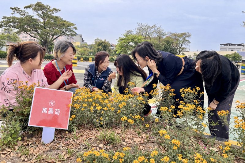 漾新聞｜一棵樹的約定開花了 高雄監理所邀民眾見證綠色希望