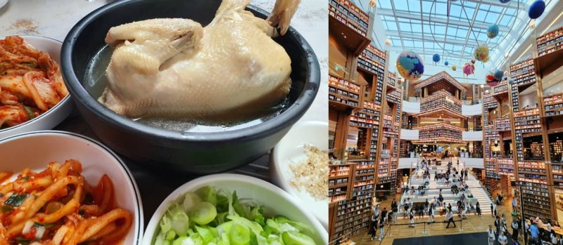 漾新聞|高流爵對有春登場 16組卡司加碼抽韓國五日遊