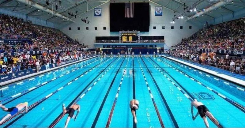 漾新聞|游完泳奇癢無比 全中運泳池水質掀議 運發局強調每日監測合格