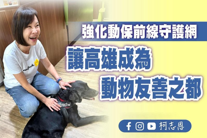 漾新聞｜虐貓與超收事件引公憤 柯志恩倡動物社工打造友善高雄