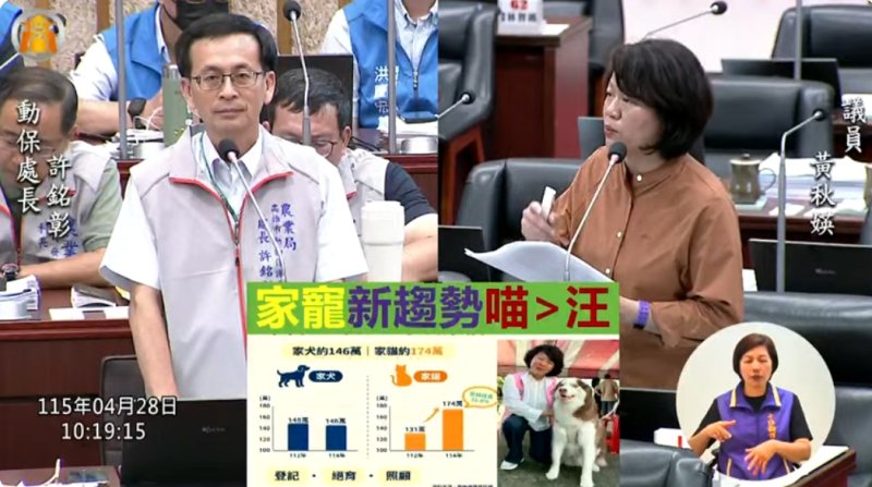 漾新聞|養貓時代來臨！黃秋媖籲強化家貓管理與偏鄉宣導