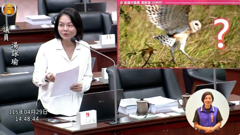 漾新聞｜草鴞棲地危機浮現 湯詠瑜促擴補助守護瀕危物種