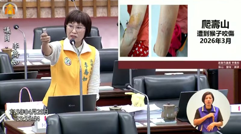 漾新聞｜猴子攻擊連環爆 李喬如怒轟市府消極釀公共安全危機