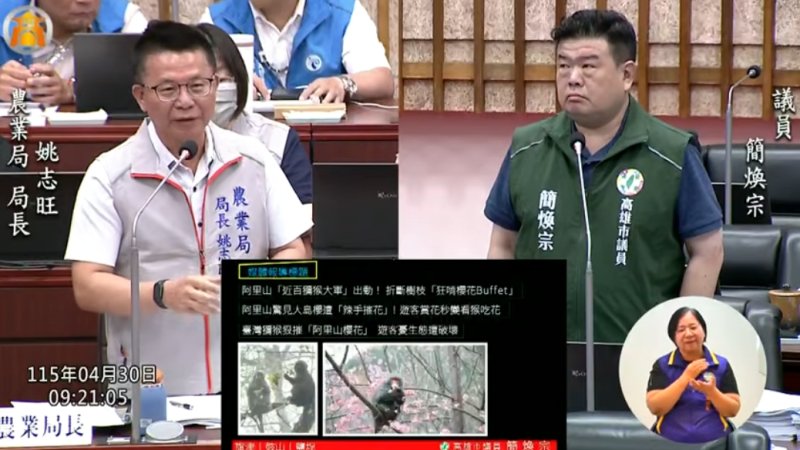 漾新聞|柴山獼猴不是麻煩 簡煥宗籲重建人猴共處新觀念