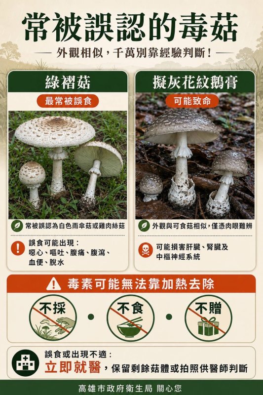 漾新聞｜吃不得！雨後野菇別亂吃！高雄一家3口疑誤食綠褶菇中毒 