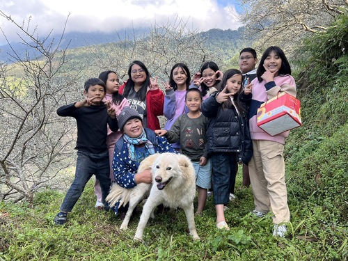 漾新聞|打造「南橫公路上的花園學校」桃源國中梅花盛開滿園春色災後重建現生機