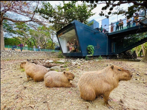 台灣觀光100亮點3月主打星 高雄狂歡登場 抽iPhone 16