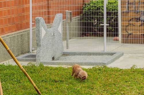  梓官「綠3寵物活動區」貼心設置了各種毛孩專屬設施。