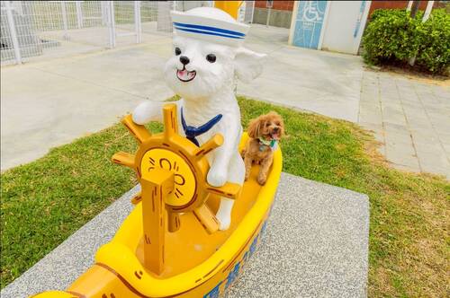 梓官「綠3寵物活動區」貼心設置了各種毛孩專屬設施。