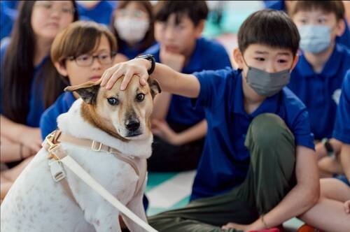 高市圖新閱分館舉辦「人本交通之小小飼主遊戲工作坊」打造寵物伴讀與人本交通教育實驗室，將交通觀念、閱讀素養與生命教育三者結合，引導國小學童從遊戲與實作中理解「人與動物共好」的行動精神。