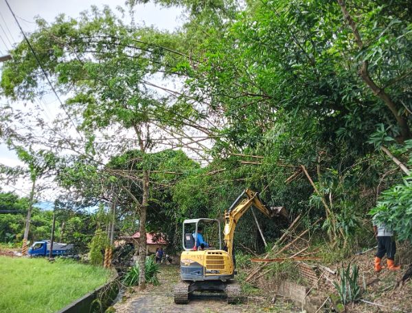 漾新聞|旗山義民巷道被林務局刺竹擋道