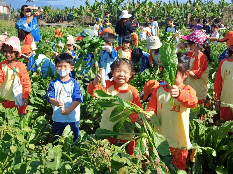 鼓山國小訪吉洋國小體驗白玉蘿蔔季。