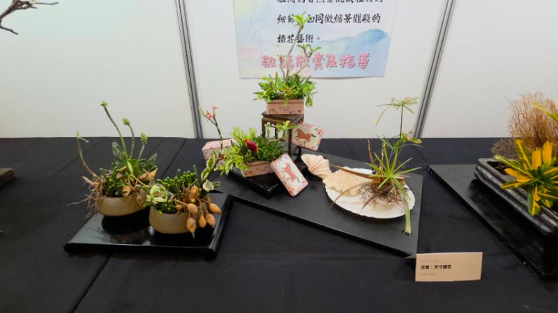 高雄市花友協會慶祝成立三十週年，舉辦「璀璨三十 花藝饗宴」為主題的藝展，展出五大流派60件創意作品，爭奇競艷難得一見。(漾新聞記者陳雯萍攝)