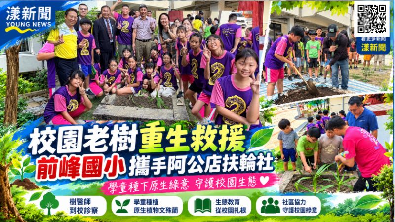 校園鳳凰木生病了！前峰國小攜手扶輪社救老樹